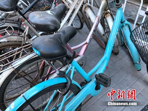 共享單車車座上落滿灰塵。<a target='_blank' href='http://www.chinanews.com/' >中新網(wǎng)</a> 吳濤 攝